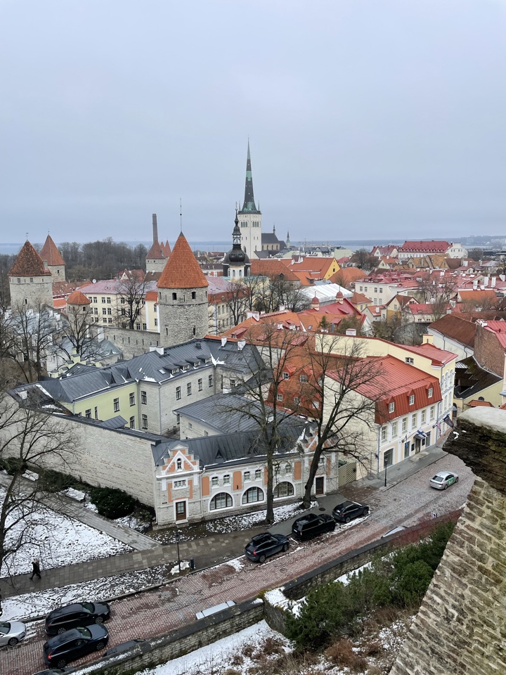 Header image for 塔林, 爱沙尼亚