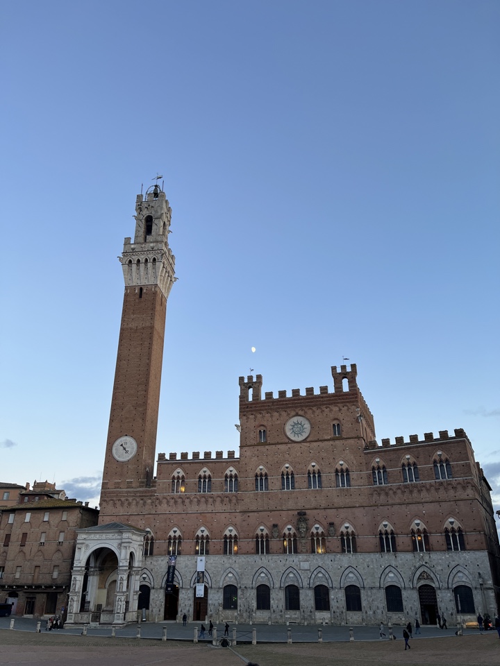 Header image for 53100 Siena, Italy