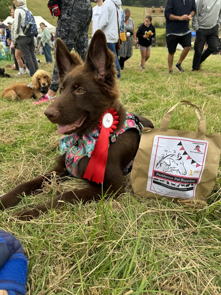 Header image for Abbotsbury, Dorset, England