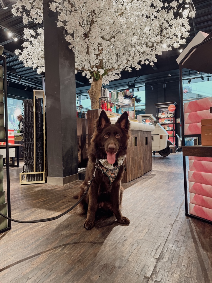 Header image for Ashford, England