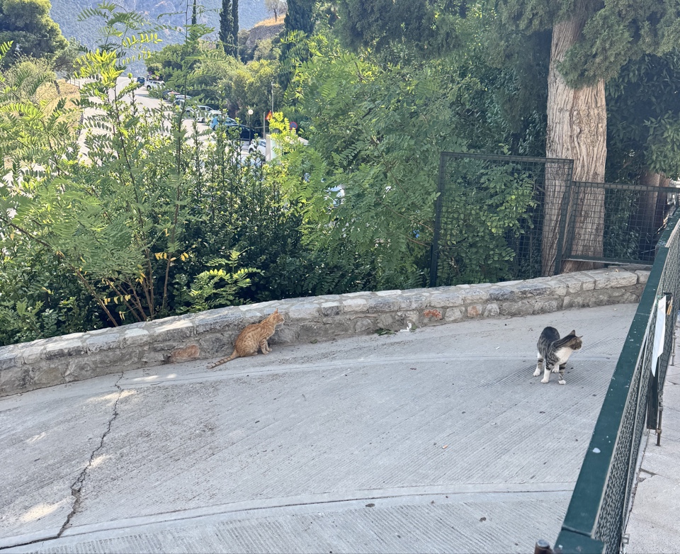 Header image for Athens, Greece