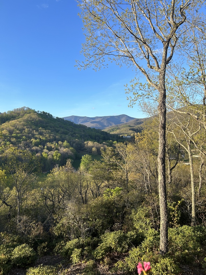 Header image for Black Mountain, NC, United States
