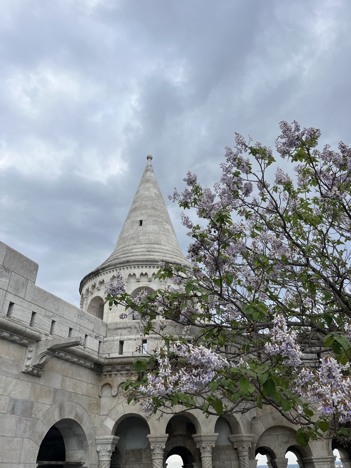 Header image for Budapest, Hungary