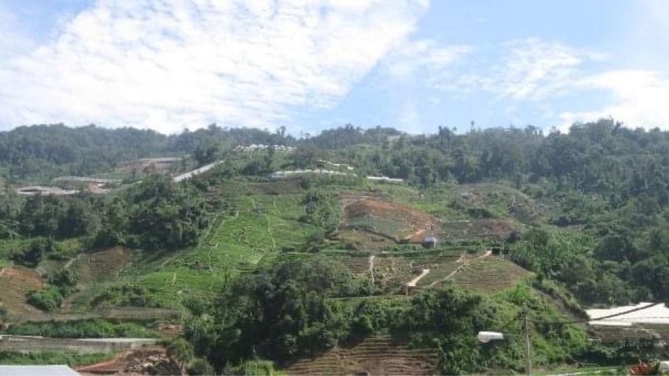 Header image for Cameron Highlands, Tanah Rata, Pahang, Malaysia
