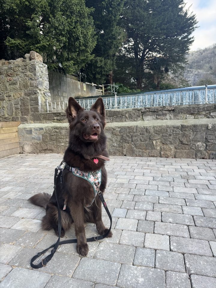 Header image for Cheddar, Somerset, England