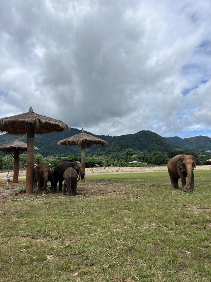 Header image for Chiang Mai, Thailand