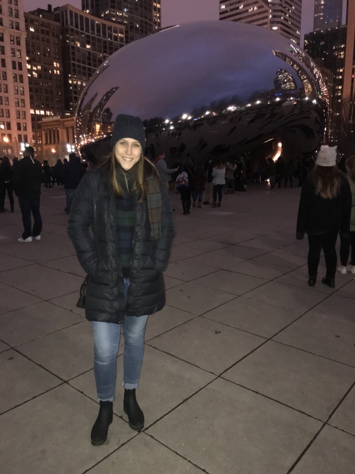 Header image for Chicago, IL, United States