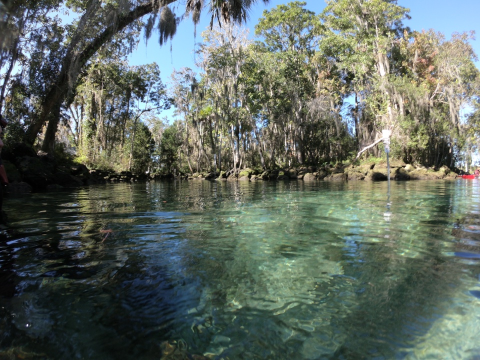 Header image for Crystal River, FL, United States
