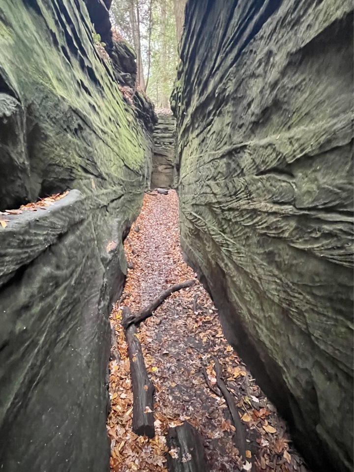 Header image for Cuyahoga Valley National Park, 6947 Riverview Rd, Peninsula, OH 44264, United States