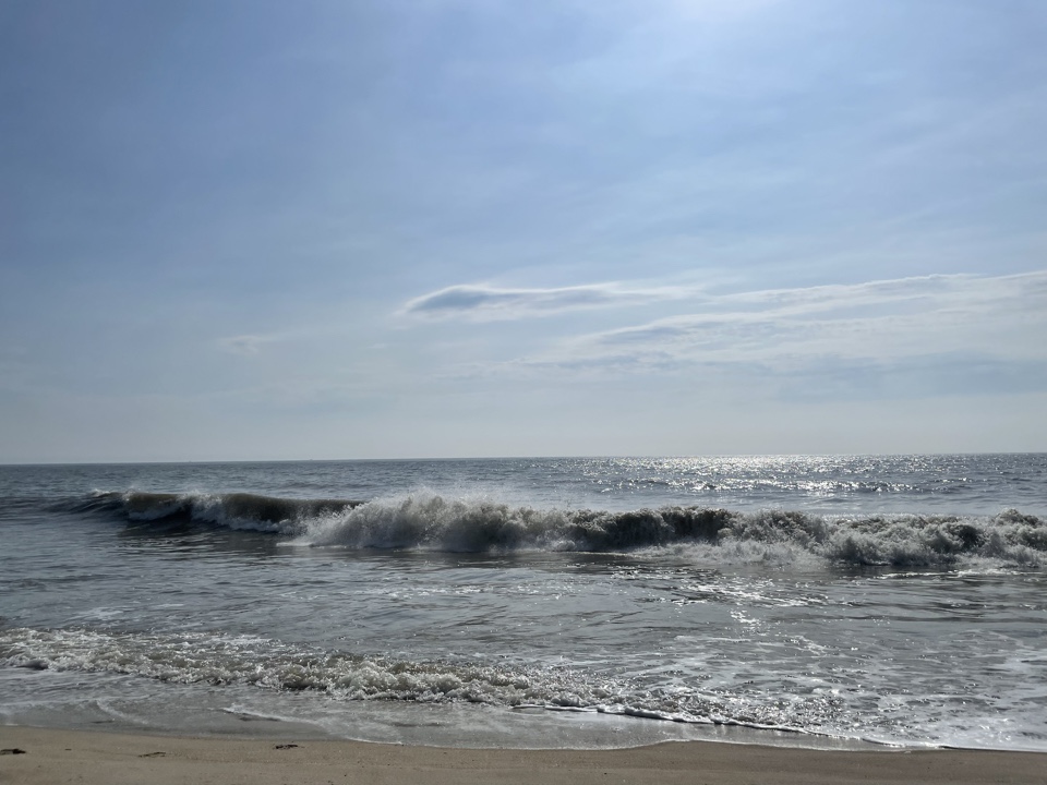Header image for Dewey Beach, DE, United States