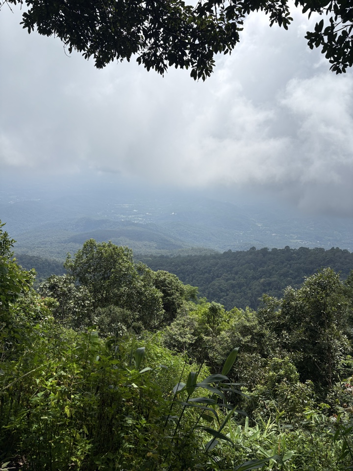 Header image for Doi Suthep-Pui National Park, Sri Wichai Road, Suthep, Mueang Chiang Mai, Chiang Mai 50300, Thailand