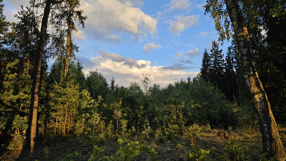 Header image for Doksy, Okres Česká Lípa, Česko
