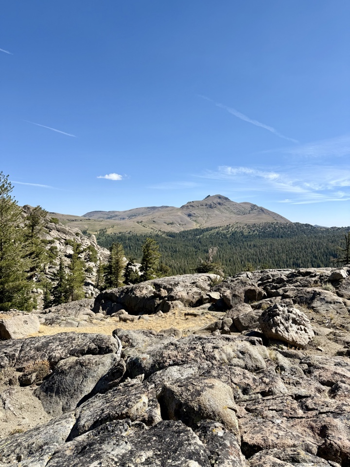 Header image for Fourth of July Lake, Arnold, CA, United States