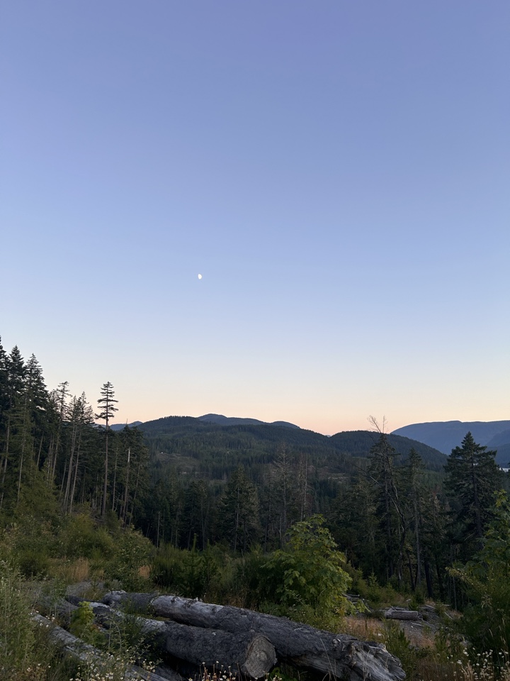 Header image for Franklin River Rd, Kildonan BC V0R 2B0, Canada