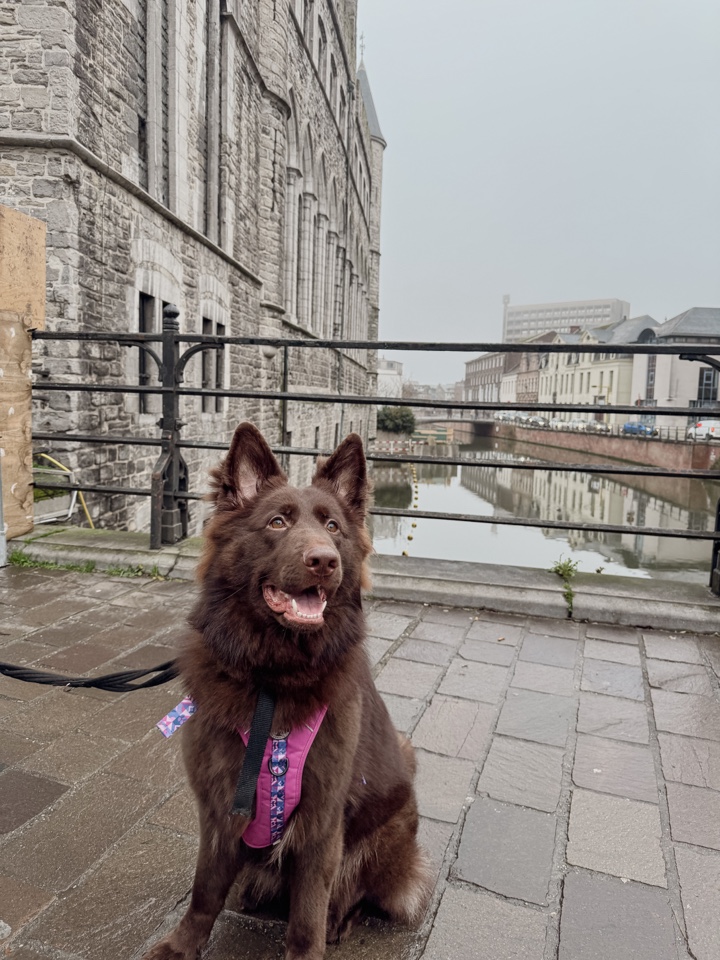 Header image for Ghent, Belgium