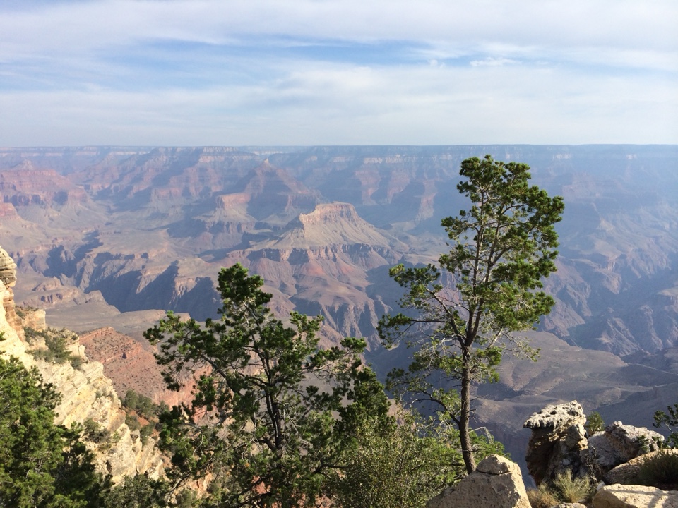 Header image for Grand Canyon National Park, 20 S Entrance Rd, Grand Canyon Village, AZ  86046, United States