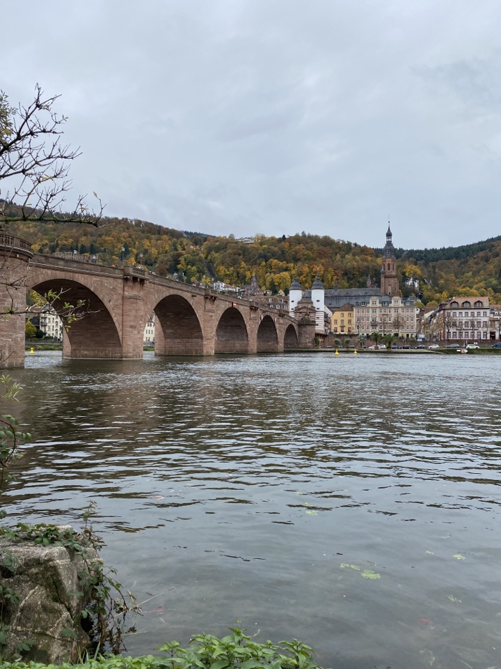 Header image for Heidelberg, Baden-Württemberg, Germany