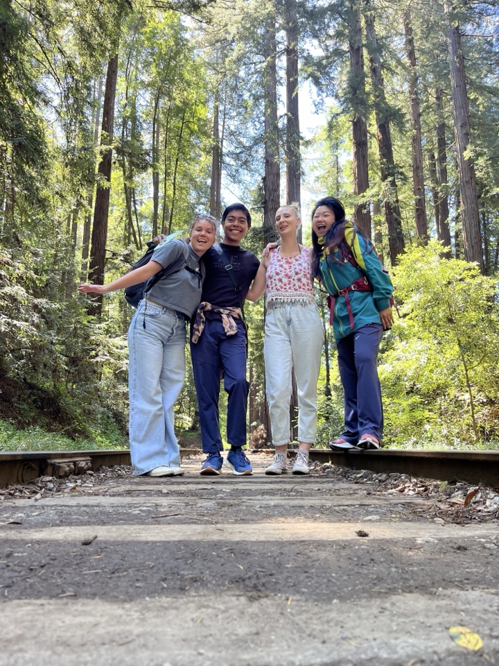 Header image for Henry Cowell Redwoods State Park, 101 Big Trees Park Rd, Felton, CA 95018, United States