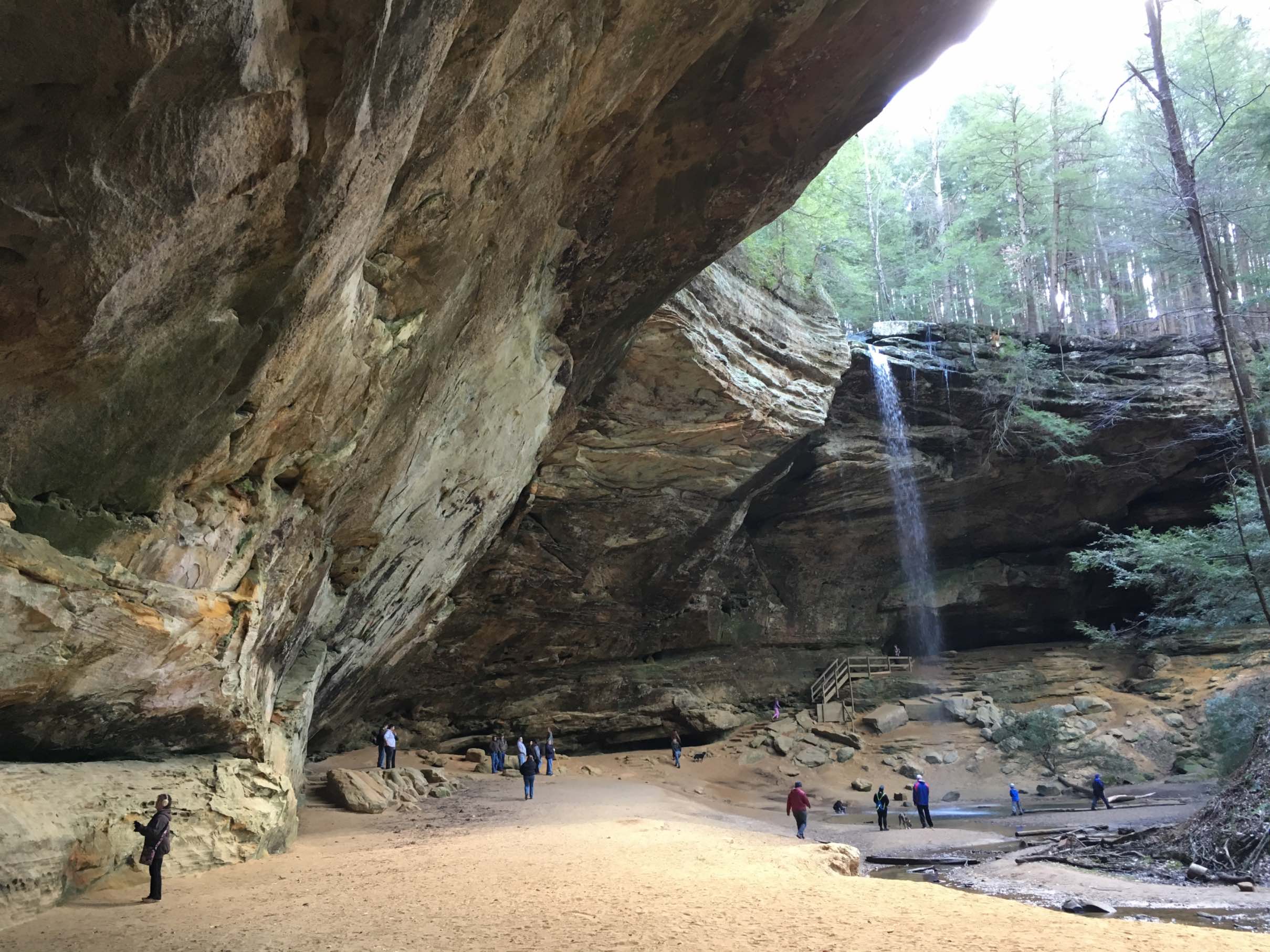 Header image for Hocking Hills State Park, 19852 State Route 664 S, South Bloomingville, Ohio 43152, United States