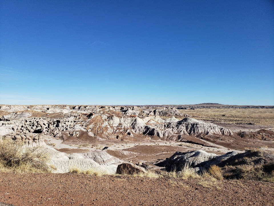 Header image for Holbrook, AZ, United States