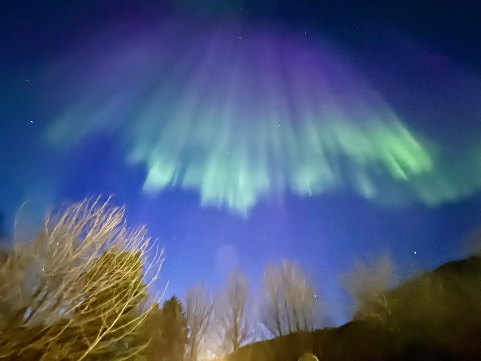 Header image for Iceland