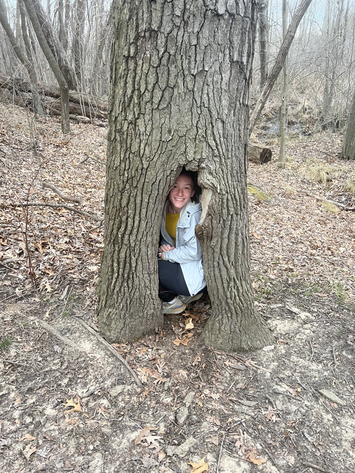Header image for Indiana Dunes National Park, 1215 SR-49, Porter, IN 46304, United States