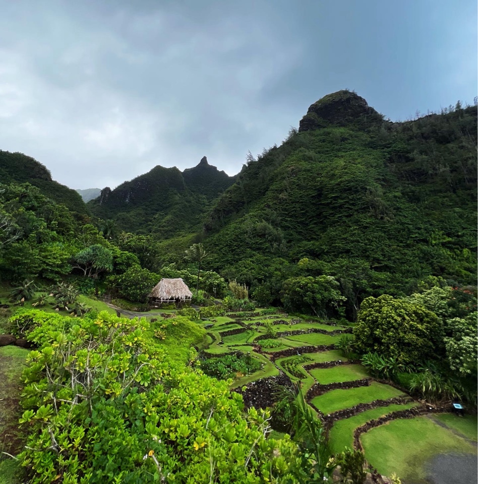 Header image for Kauai County, HI, United States