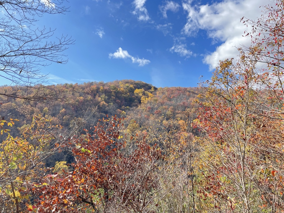 Header image for Knoxville, TN, United States