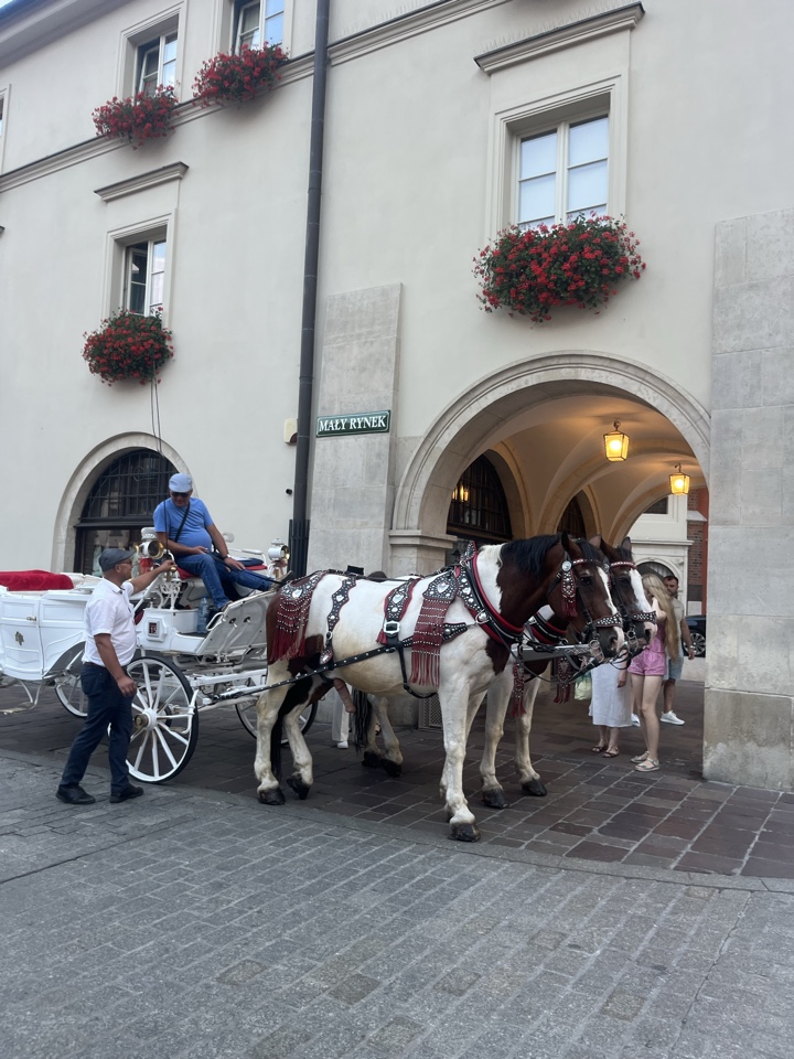 Header image for Kraków, Poland