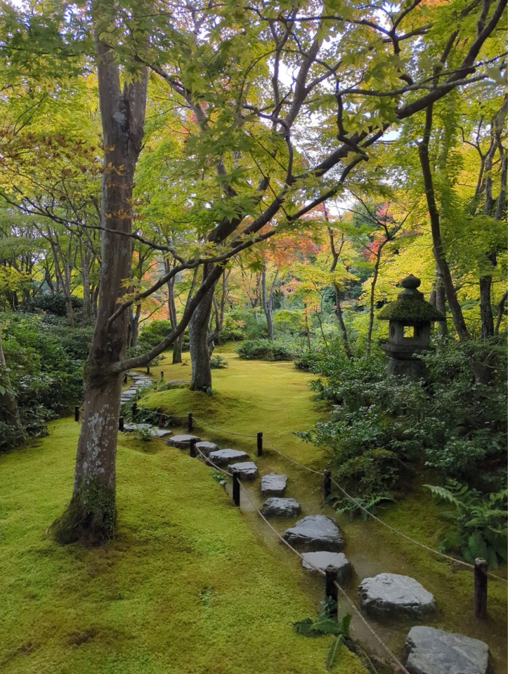 Header image for Kyoto, Japan