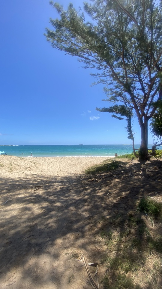 Header image for Lāʻie, HI, United States