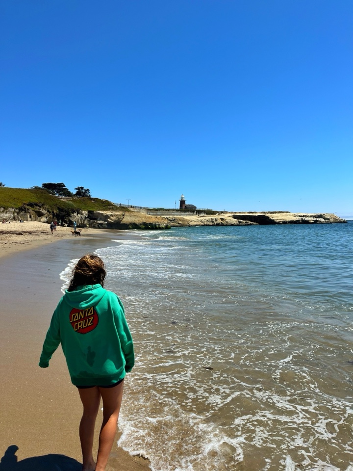 Header image for Lighthouse Field State Beach, 701 W Cliff Dr, Santa Cruz, CA 95060, United States