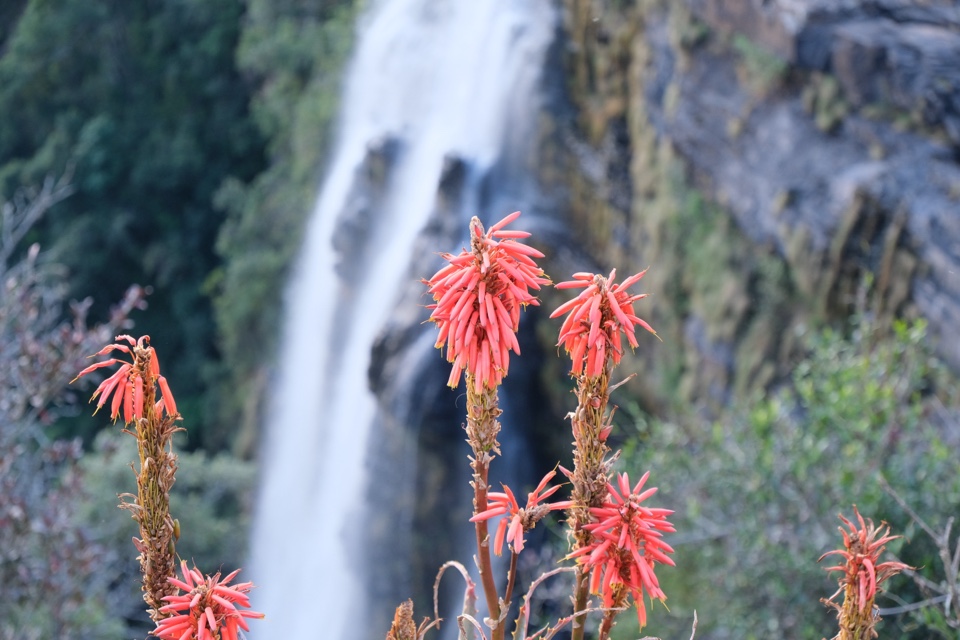 Header image for Lisbon Falls, Thaba Chweu, Sabie, Mpumalanga, South Africa