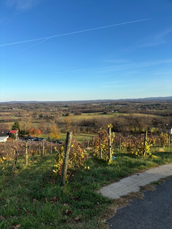 Header image for Loudoun County, VA, United States