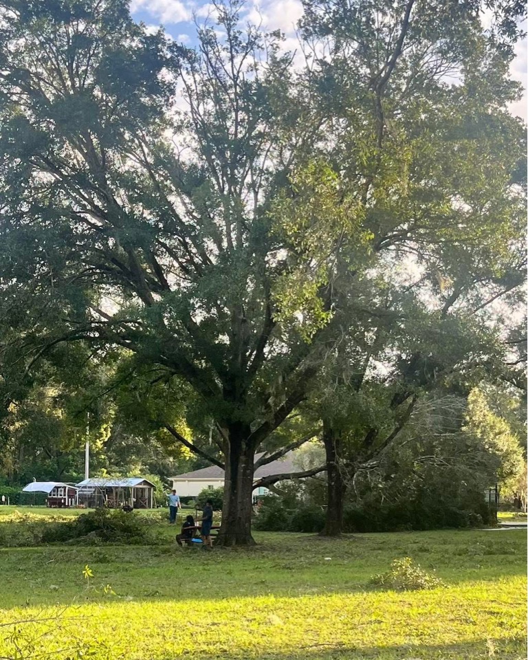 Header image for Lutz, FL, United States