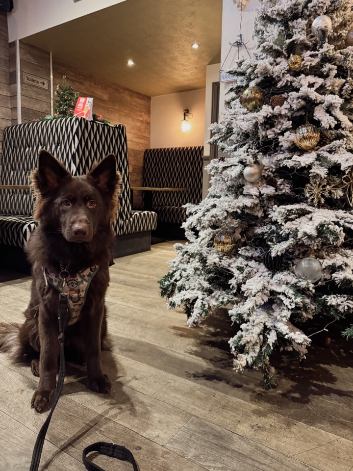 Header image for Lymington, New Forest, England