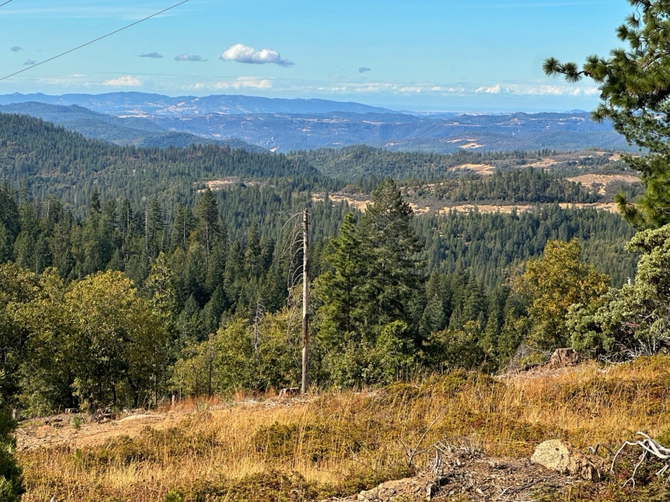 Header image for Lyons Reservoir, Long Barn, CA, United States