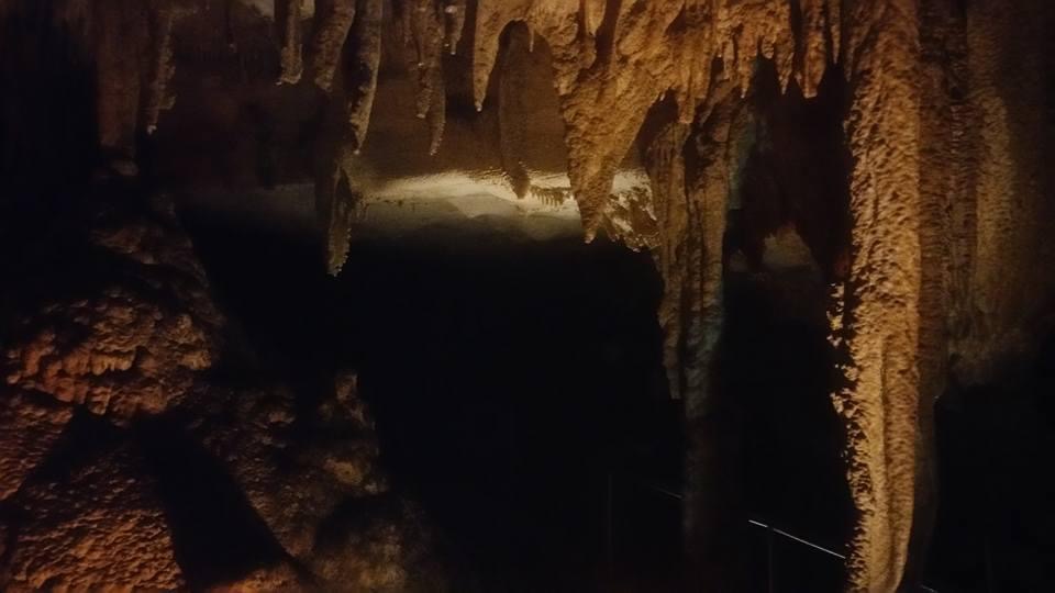 Header image for Mammoth Cave National Park, 1 Mammoth Cave Pkwy, Brownsville, Kentucky 42259, United States