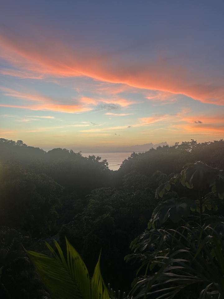 Header image for Manuel Antonio, Aguirre, Costa Rica