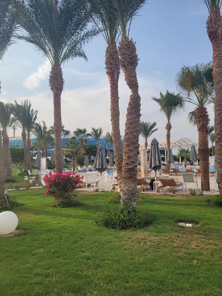 Header image for Marsa Alam, Muhafaza Morze Czerwone, Egipt