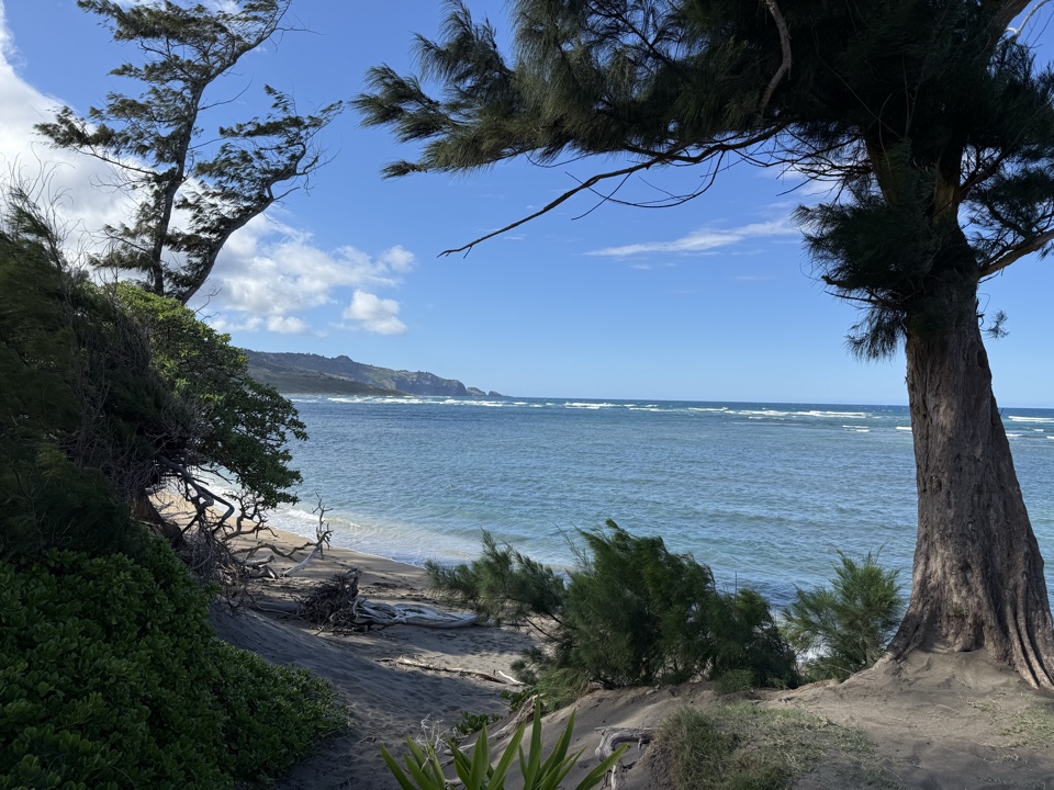 Header image for Maui County, HI, United States