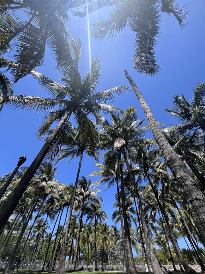 Header image for Miami, FL, United States