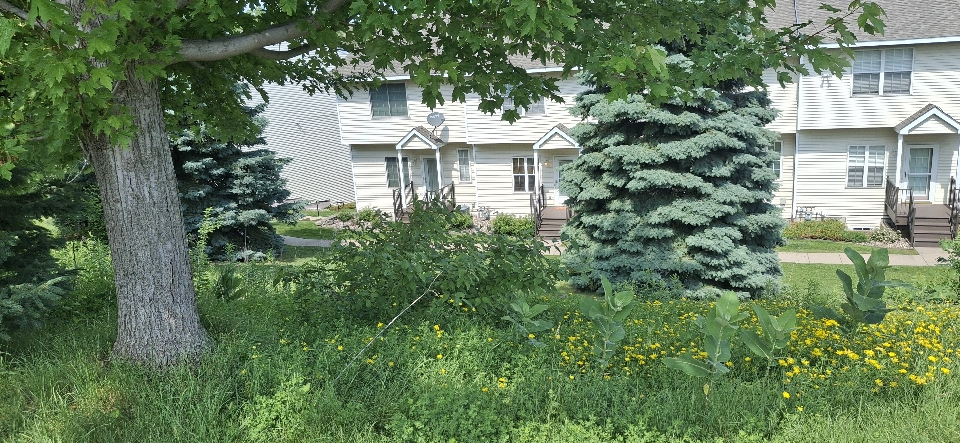 Header image for Minneapolis, MN, United States