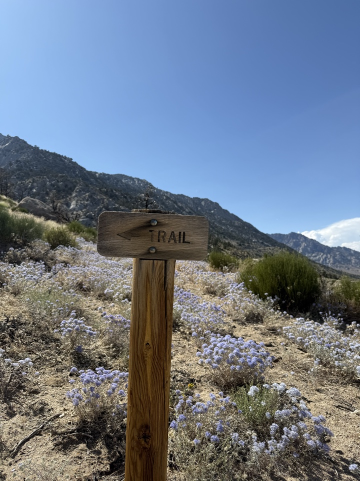 Header image for Mount Whitney, Inyo County, CA, United States