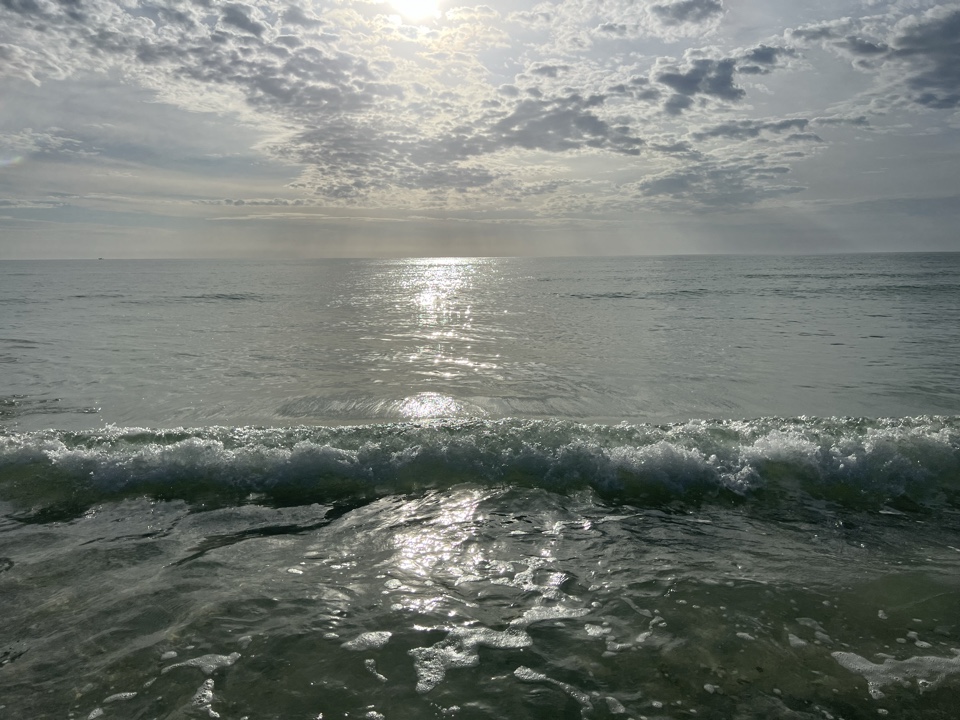 Header image for Naples, FL, United States