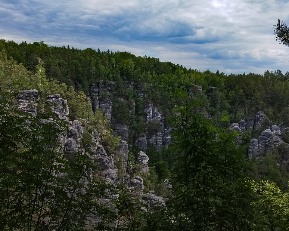 Header image for NationalparkZentrum Sächsische Schweiz, Dresdner Str. 2 B, 01814 Bad Schandau, Germany