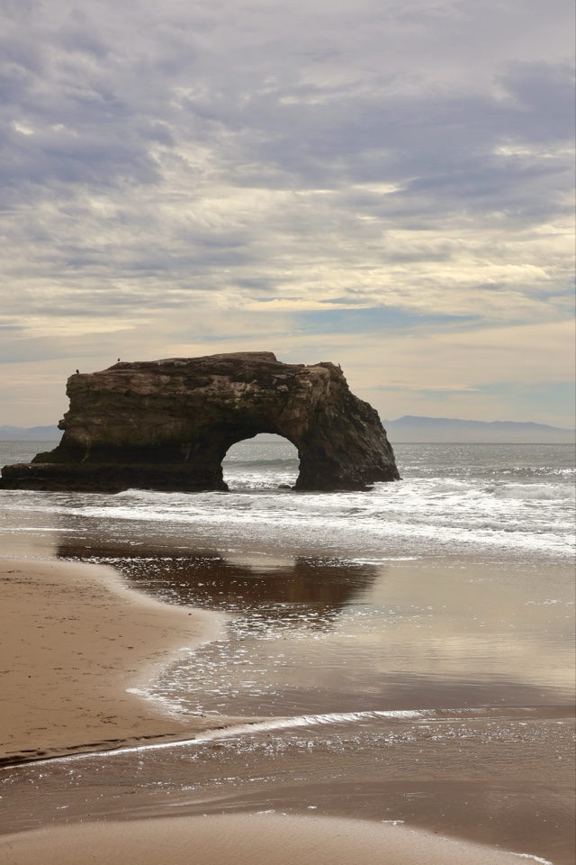 Header image for Natural Bridges, Santa Cruz, CA, United States