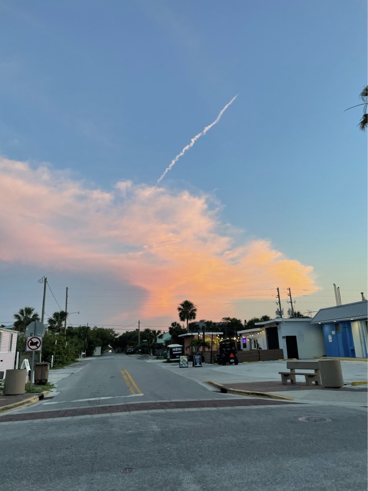 Header image for New Smyrna Beach, FL, United States