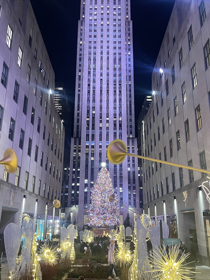 Header image for New York, NY, United States