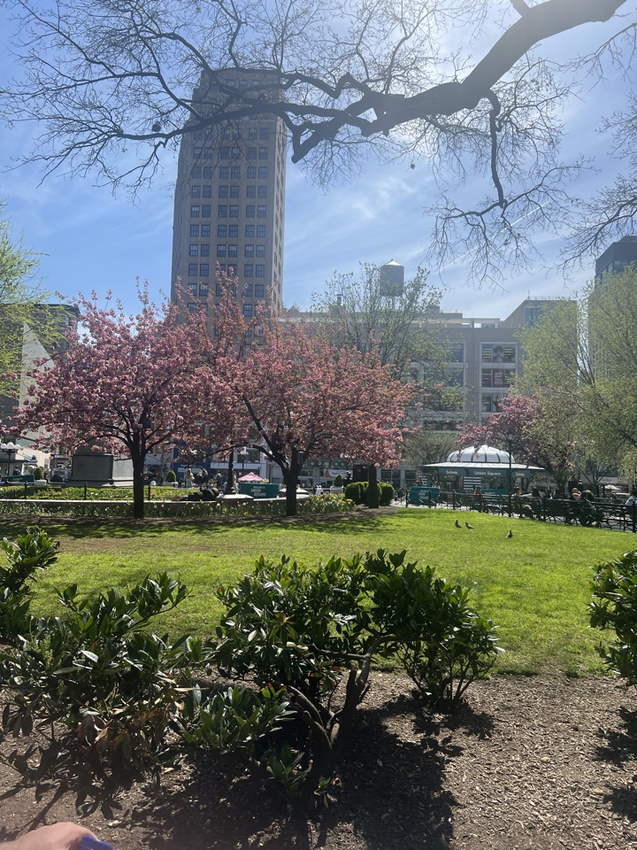 Header image for New York, United States